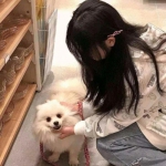烈火战刃破解版下载